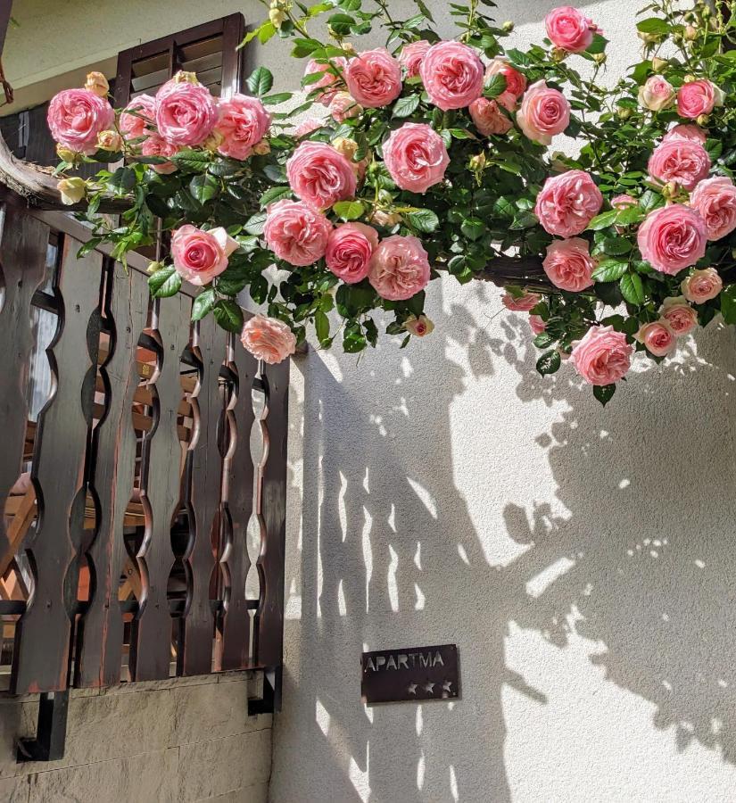 Apartment Kolodvor Dornberk Εξωτερικό φωτογραφία